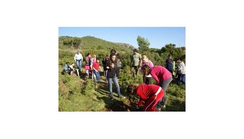 Els alumnes de cinquè participen en una sembra d’arbres a Cala Agulla