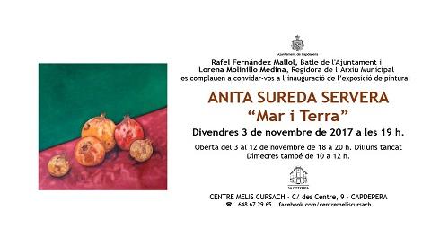 Exposició d'Anita Sureda al Centre Melis